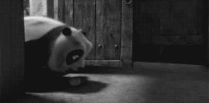 kung fu panda,po,baby panda