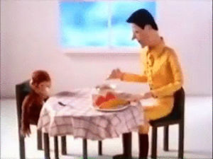 curious george,not hungry
