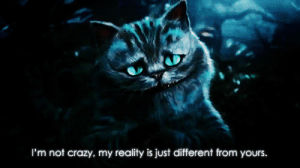 cheshire cat,alice,crazy,reality,wonderland,different