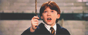 ron weasley,hermione granger,harry potter
