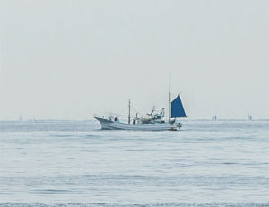fishing boat,artists on tumblr,japan,ocean,boat,fishing,chiba,mike krentz,v 50 facts about me