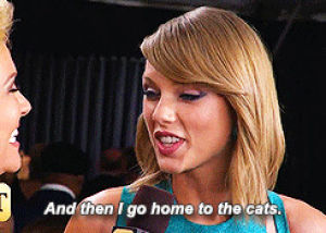 cats,taylor swift,weekend plans,taylor nation
