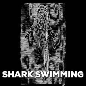 shark,swim