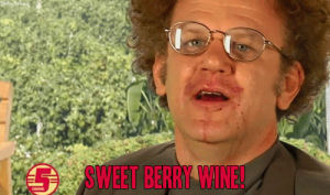 drunk,wine,tim and eric,john c reilly,steve brule,sweet berry wine,wine me