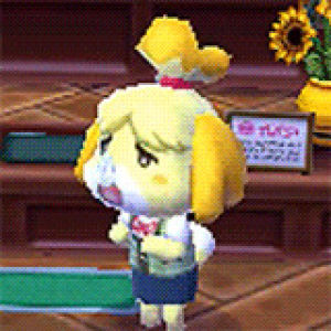 animal crossing,isabelle,new leaf,video games,nintendo,nds