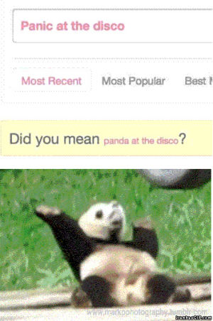 panda,dancing,weird,random,disco