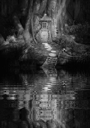 dark,peaceful,pond,black and white,water,nature,reflection