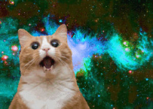space,colorful,freaking out,cat