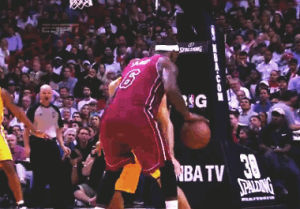 lebron james,basketball,nba,miami heat,slam dunk,indiana pacers,and 1,mattew perry