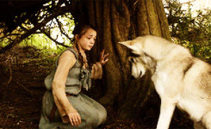 direwolf,feel better,game of thrones,hug,got,asoiaf
