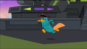 perry the platypus,agent p,perry,phineas and ferb