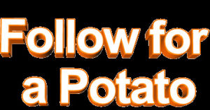 animatedtext,orange,transparent,text,follow,potato,myblog,follow for a potato