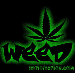 smoke,marijuana,pot,weed