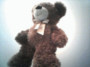 teddy,teddy bear,reaction,bear,bow,ribbon,my bear