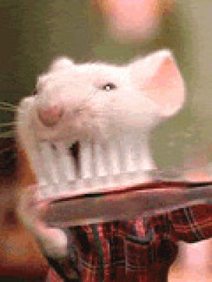 mouse,tooth brush,brushing my teeth,stuart little,brush your teeth