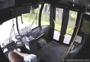 bus,driver