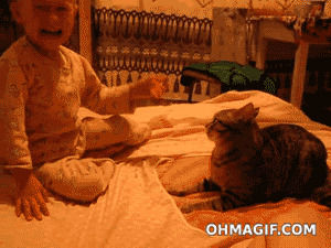 slapping,slap,cat,funny,baby,home video