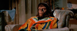 planet of the apes,roddy mcdowall,swag,cornelius