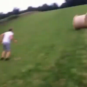hmb,fail,jump,hay,bale