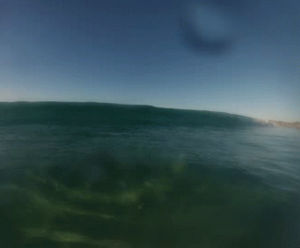 swimming,pretty,water,beautiful,summer,beach,ocean,wave,surfing,surf,tasmania,bicheno
