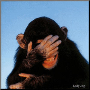GIF try again - animated GIF on GIFER