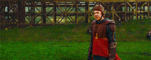 quidditch,hbp,harry potter,hermione,ron