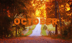 october,autumn,nature,fall,leaves,cozy,seasonal