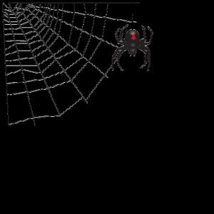 halloween,spider,spoderman,transparent,app,sticker,hi art