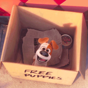 the secret life of pets,puppy eyes,cute,puppy,tbt,throwback thursday