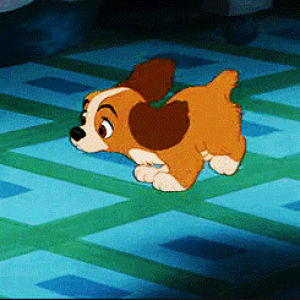cartoons comics,lady and the tramp,disney,classic disney,the lady and the tramp,sometimes i trip overmyself too,reason 20000001 why i want a dog,its okay lady