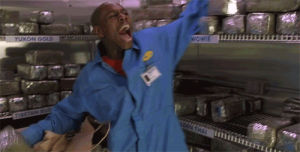 dave chappelle,half baked