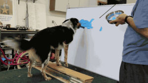 dog,painting,landscape,genius