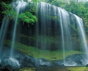 waterfall,nature,water