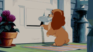 cute,dog,lol,disney,monday,lady and the tramp