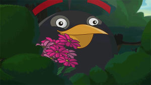 angrybirds,bomb,angry birds,bouquet,love,omg,confused,shocked,date,toon,what