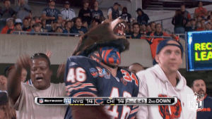 Chicago bears picture bears GIF - Find on GIFER