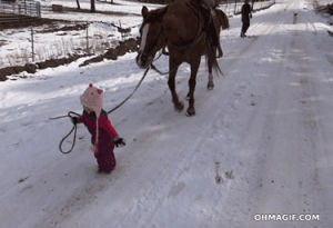 horse,girl,snow,road,little,toddler,lead
