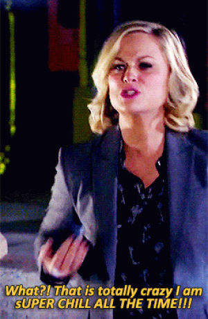 leslie knope,ben wyatt,angry,parks and recreation,amy poehler,fighting,chill,argue