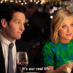 paul rudd,film,amy poehler,they came together