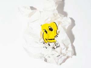 have a nice day,thank you,plastic bag,happy face,phyllis ma,specialnothing