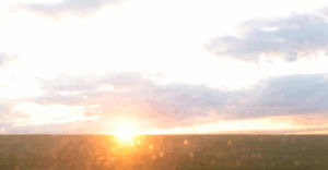 sundown,field,nature,sun,sky,driving,clouds,movement,on the road,dusk