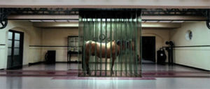 the cell,horror,scary,horse