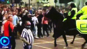 sunderland,funny,football,soccer,horse,riot,newcastle,hooligan