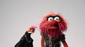 the muppets abc,the muppets,the muppets top 5 people youll meet at work,animal,td dance