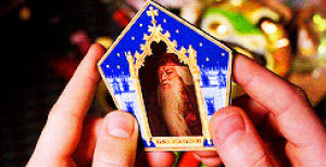 weasley,harry potter,dumbledore,neville longbottom,harry,hp,potter,hermione granger,hermione,ron weasley,ron,granger,romione,rony