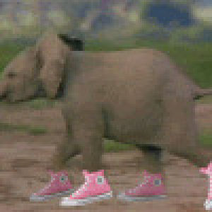 elephant,baby,wear