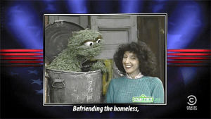 sesame street,comedy central,stephen colbert,the colbert report,sc,bert and ernie,oscar the grouch,tcr,count von count