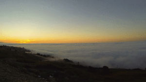 sunrise,ocean,fog