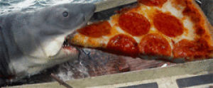 food,pizza,animal,sea,ocean,shark,pizza time,love pizza,pizzamania,tiburn