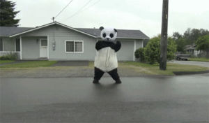 dance,panda